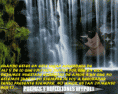 /album/fotogaleria-wypoet/a5f1907f0-o-gif/